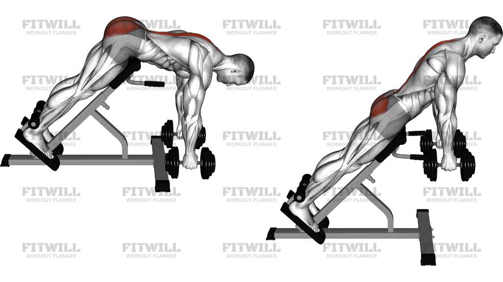 Håndvægt Hyperextension (Version 2)