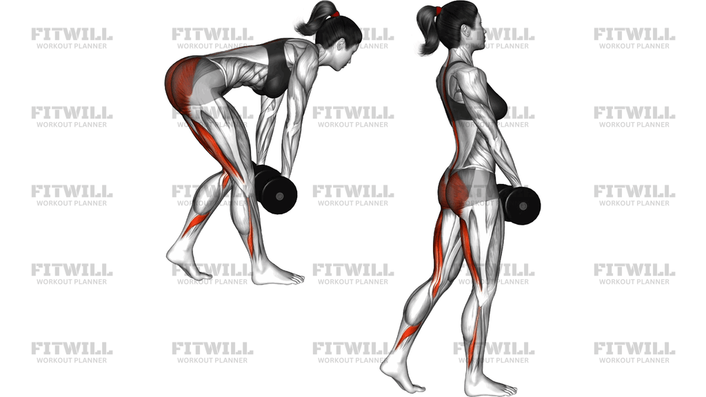 Dumbbell Staggered Stance Romanian Deadlift