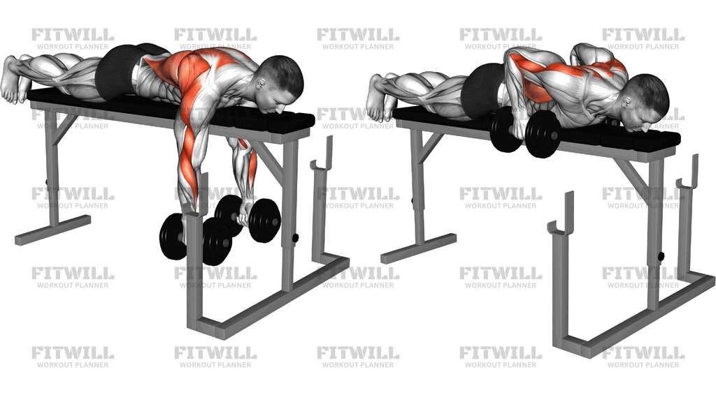 Dumbbell Lying Neutral Grip Row On Rack