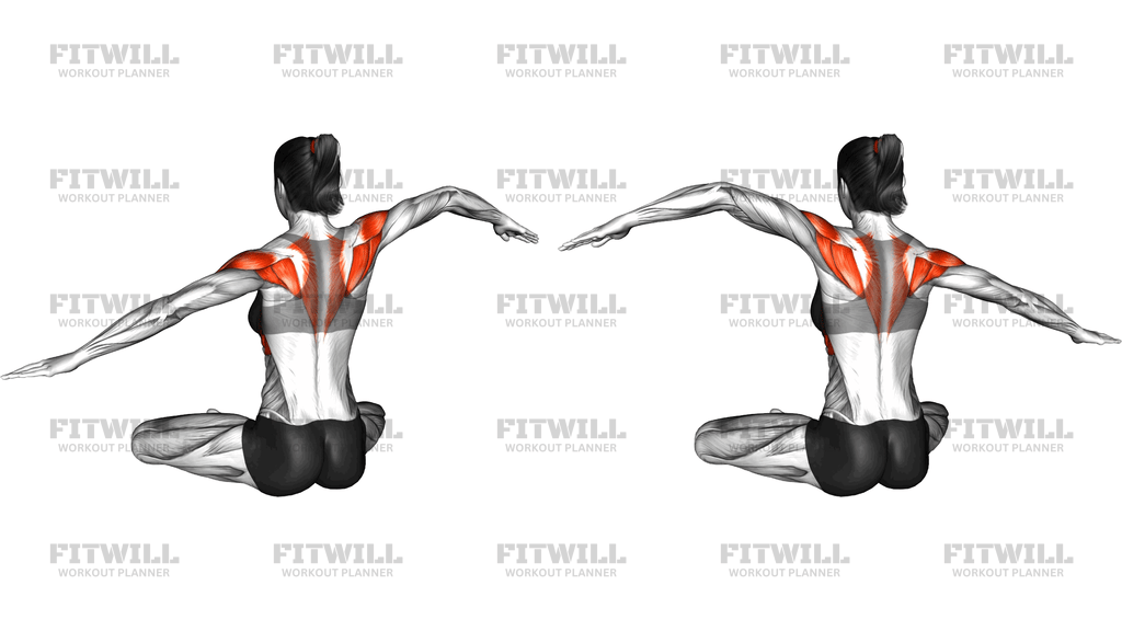 Seated Shoulder Waves