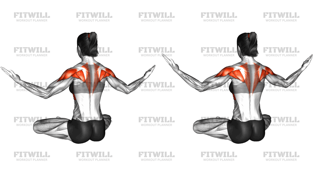 Seated Shoulder Circle