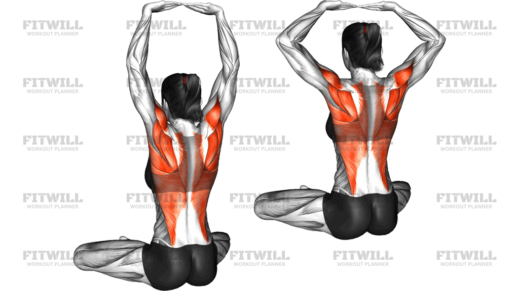 Seated Overhead Reach Press
