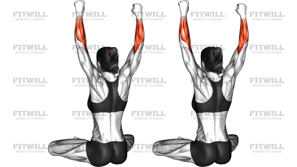 Seated Fist Pulse