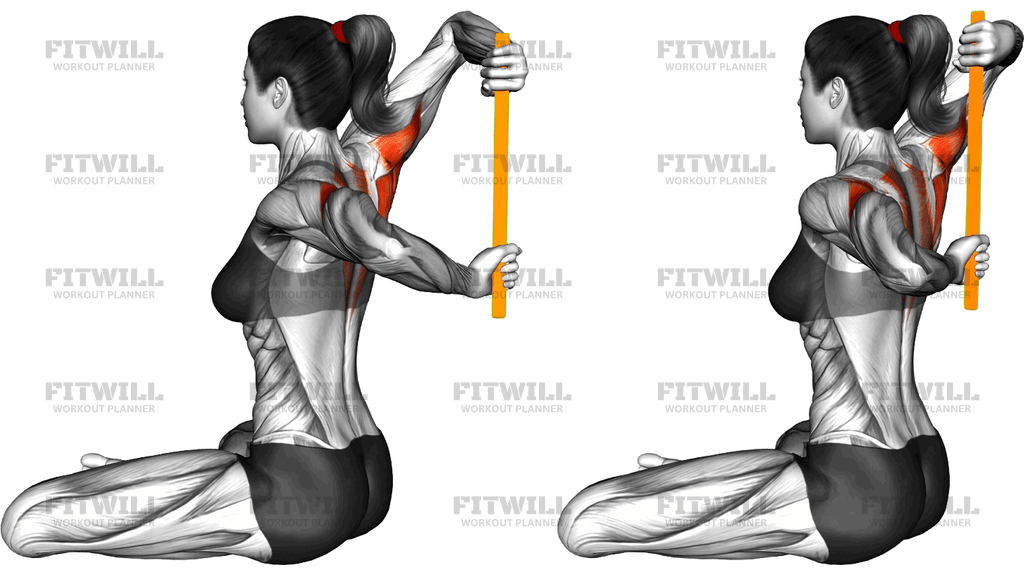 Resistance Band Seated Shoulder Stretch Behind The