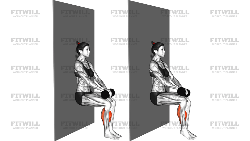 Chair Sit Alternate Heel Raise Agains Wall