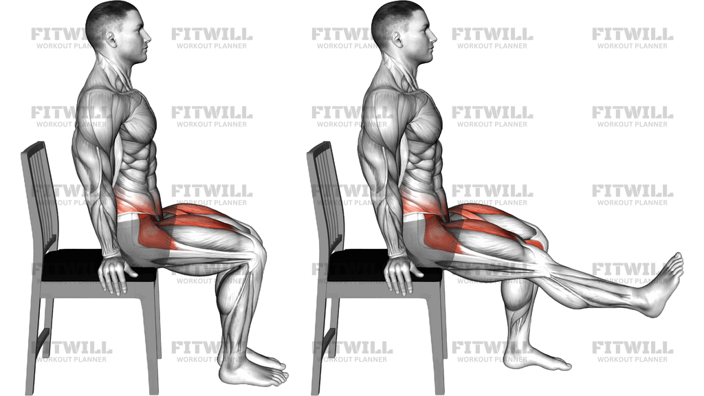 Seated Single Leg Raise On Chair