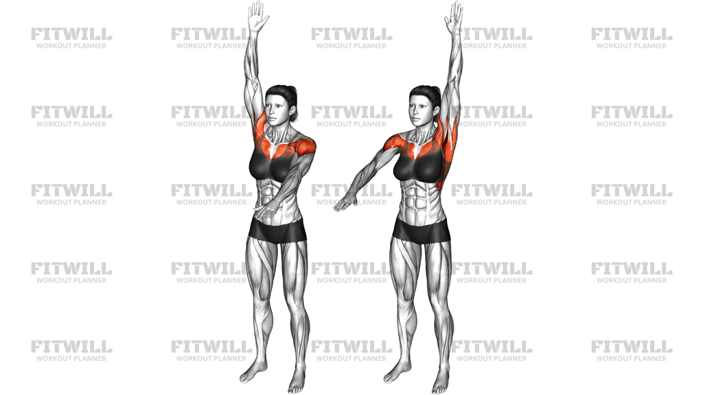 Arms Up And Down