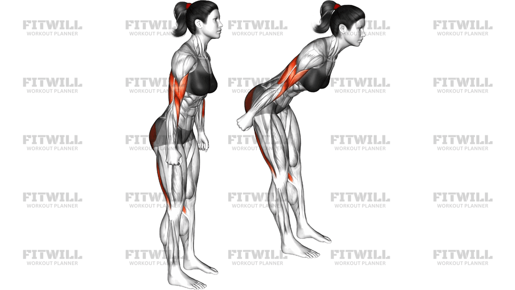 Bodyweight Romanian Deadlift Biceps Curl Kickback