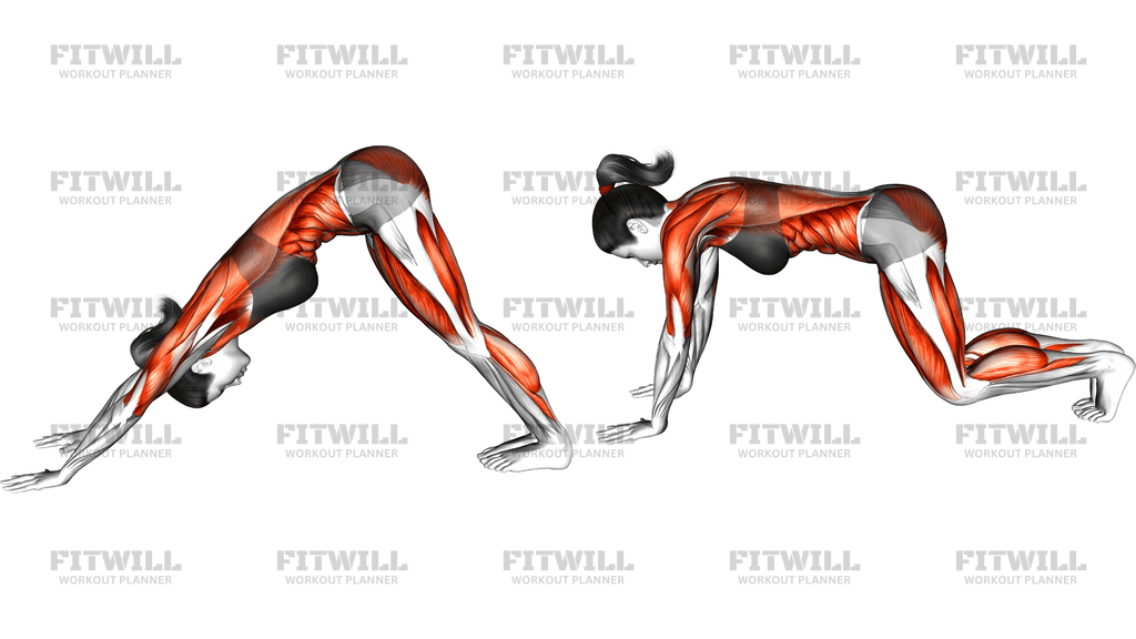 Downward Dog Squat