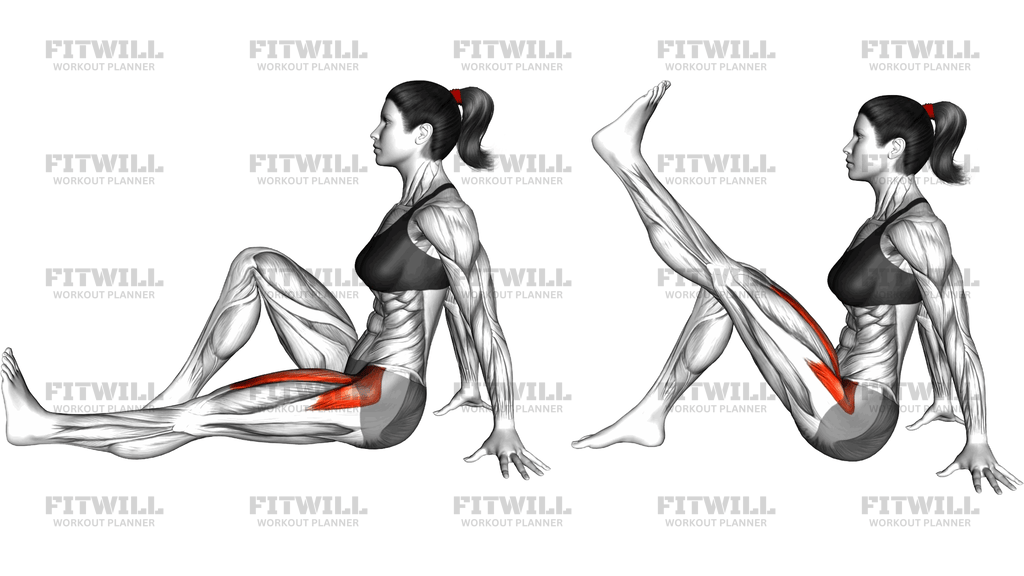 Seated Single Leg Raise