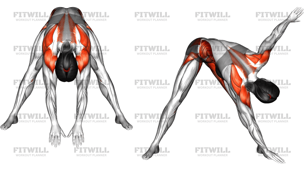 Wide Forward Fold Twist