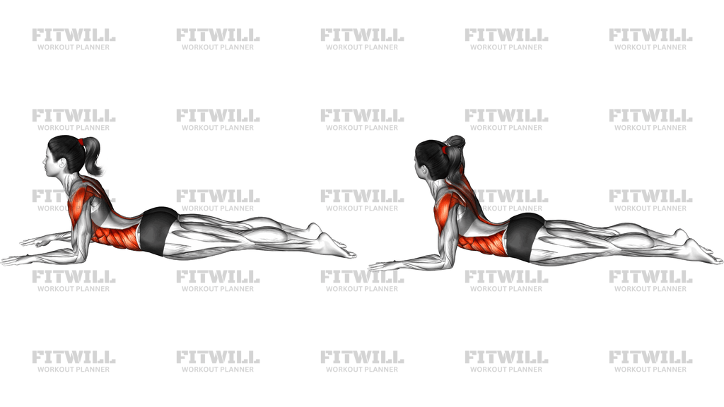 Sphinx Pose Opening