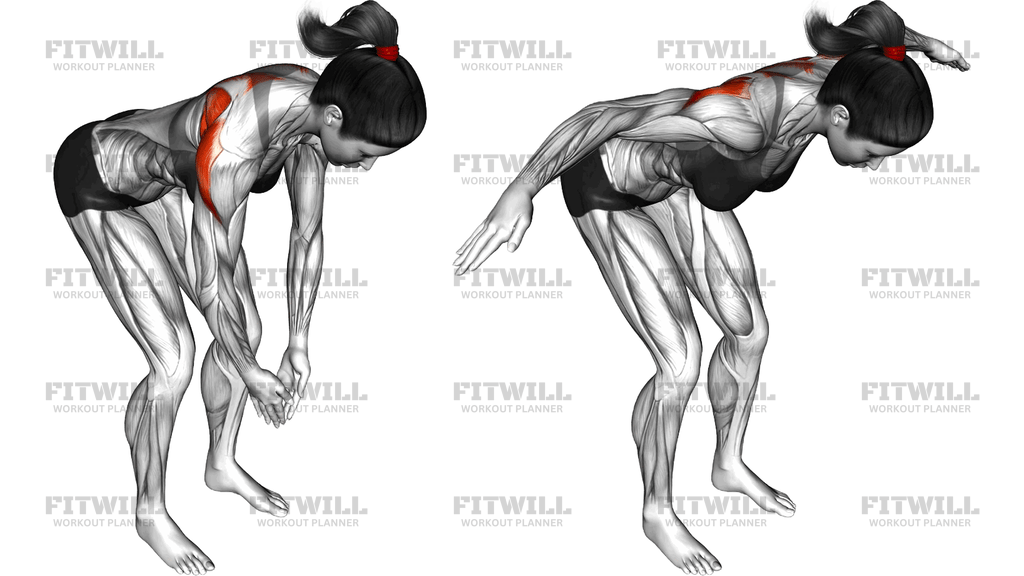 Bodyweight Bent Over Rear Delt Fly
