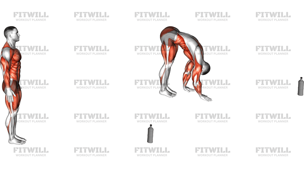 Inchworm Front Arm Tap