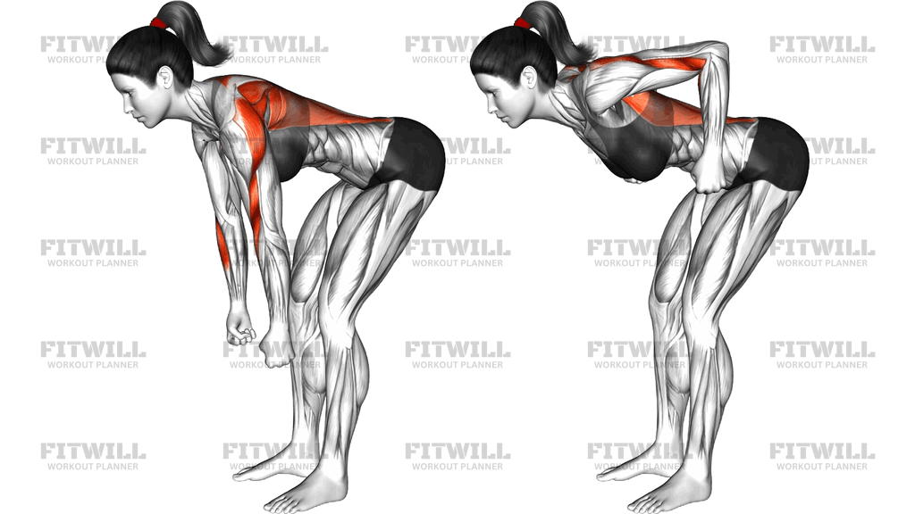 Bodyweight Bent Over Row