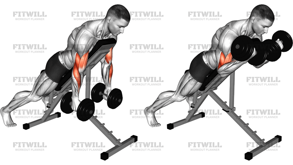 Dumbbell Prone Incline Twist Curl