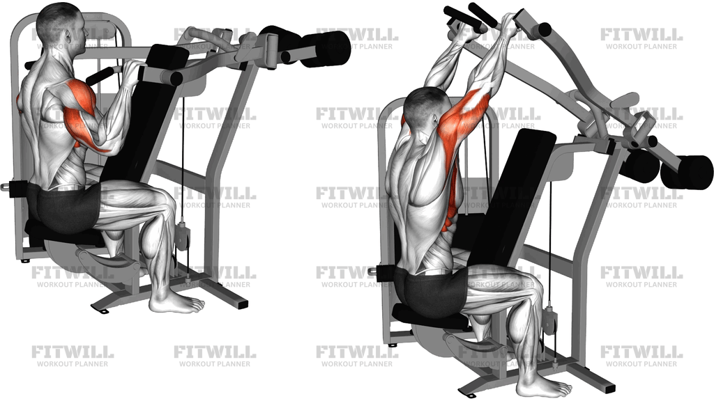 Lever Reverse Seated Shoulder Press