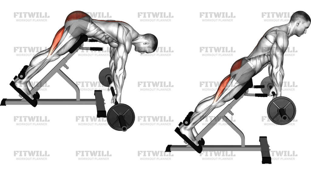 Barbell Hyperextension