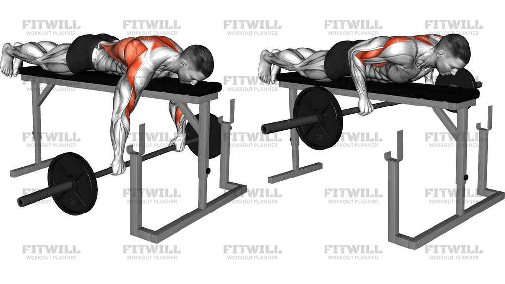 Barbell Lying Seal Row On Rack