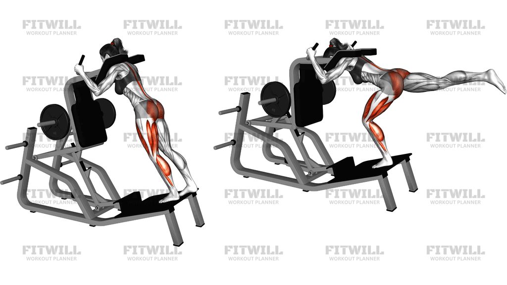 Lever Single Leg Deadlift On Hack Squat Machine