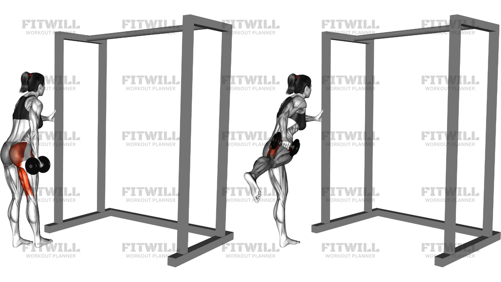 Weighted Dumbbell Straight Leg Diagonal Kickback