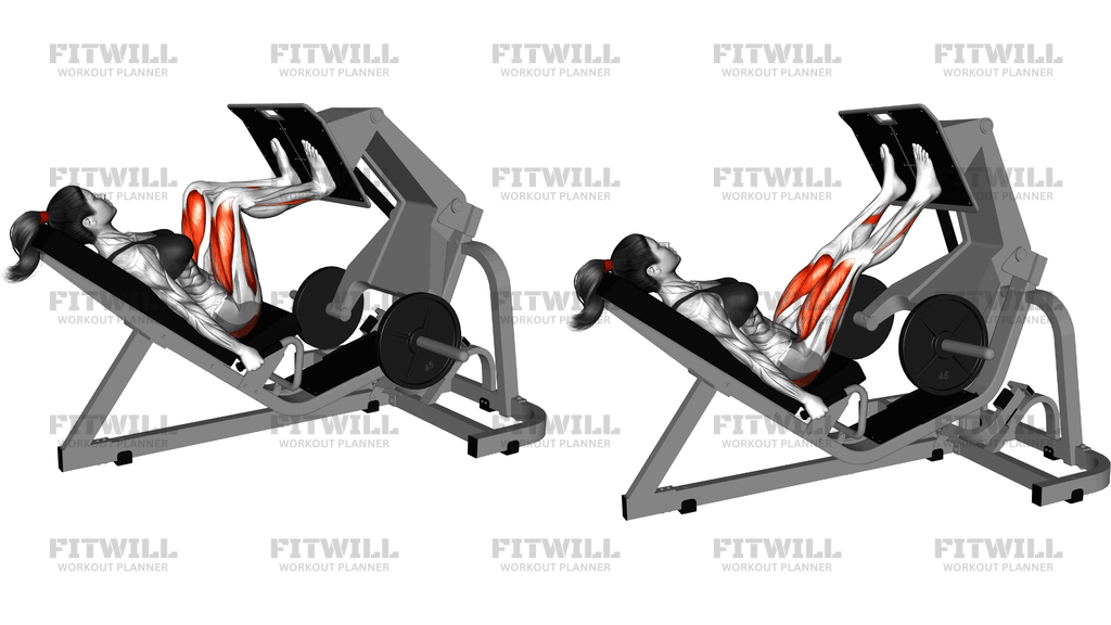 Lever Angled Leg Press