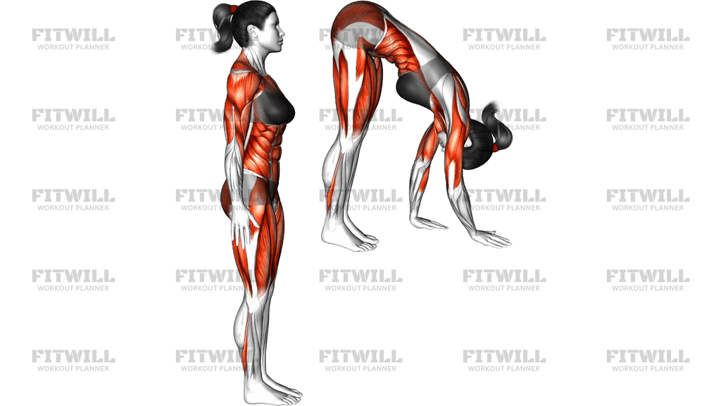 Inchworm And Mountain Climbers