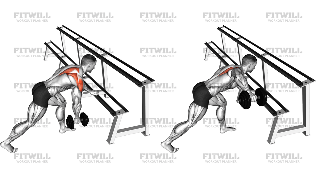 Dumbbell Single Arm Reverse Fly (Rack Support)