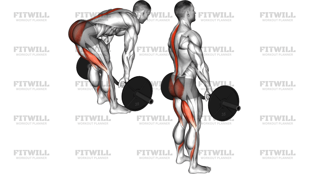 Ez Barbell Stiff Legged Deadlift