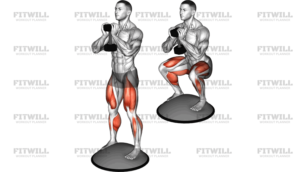 Dumbbell Bosu Ball Goblet Squat