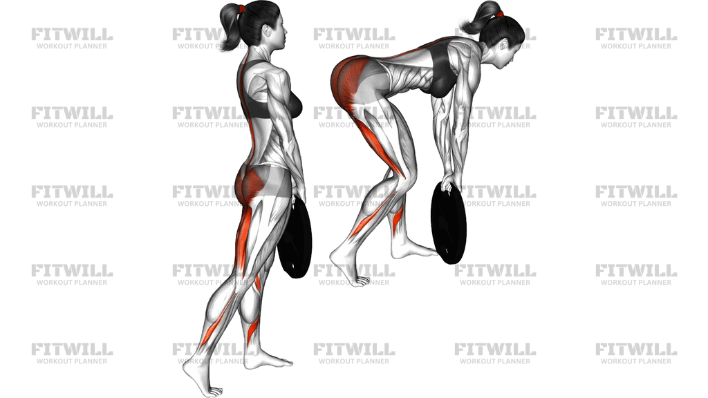 Ağırlık Plakalı Çapraz Duruş Rumen Deadlift