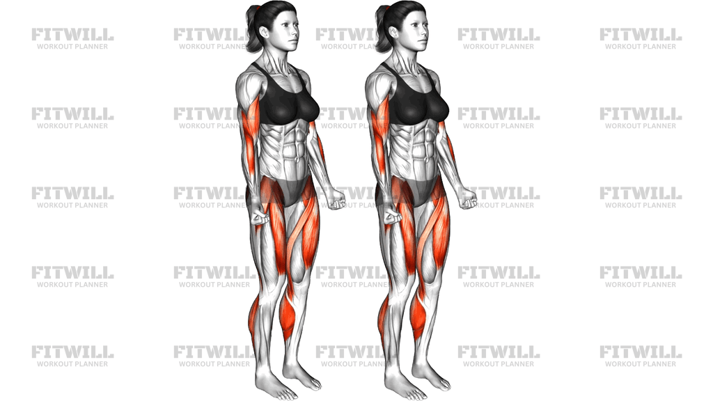 Biceps Curl Front Step (Version 2)