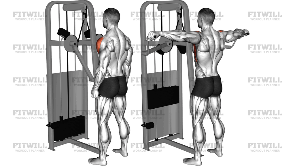 Lever Standing Lateral Raise