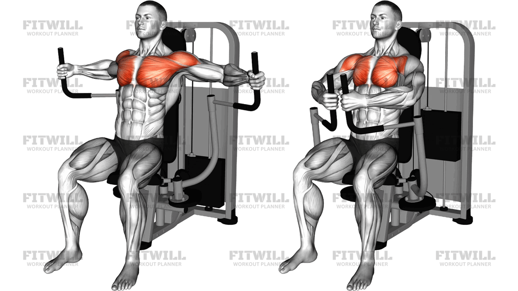 Lever Seated Fly (Version 2)