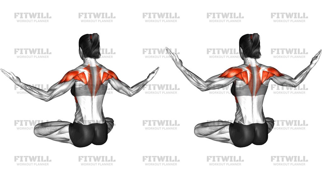 Seated Shoulder Anti Clockwise Circle