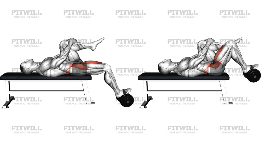 Weighted Dumbbell Lying Knee Raise