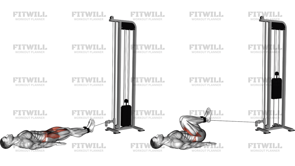 Cable Lying Hip Flexion (Reverse Squat)