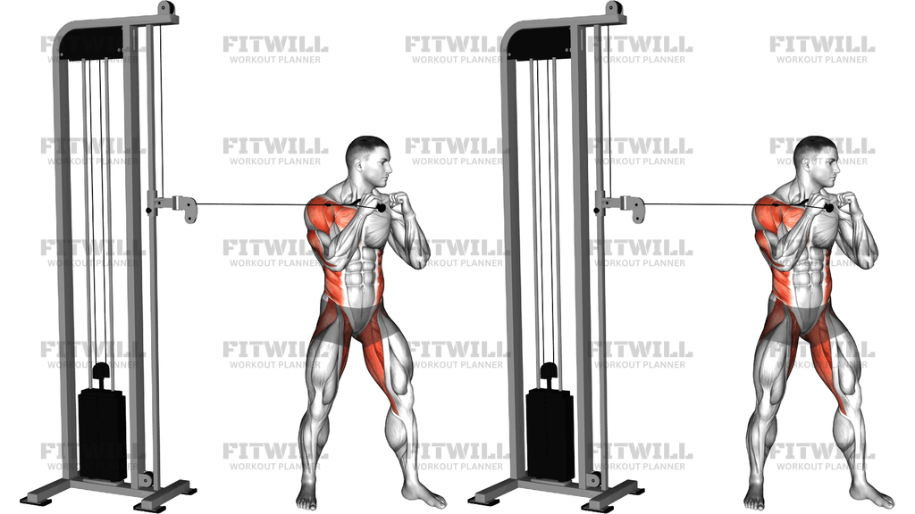 Cable Standing Jab