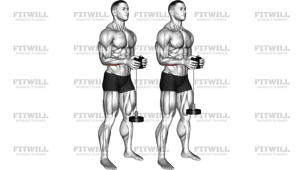 Neutral Wrist Roller