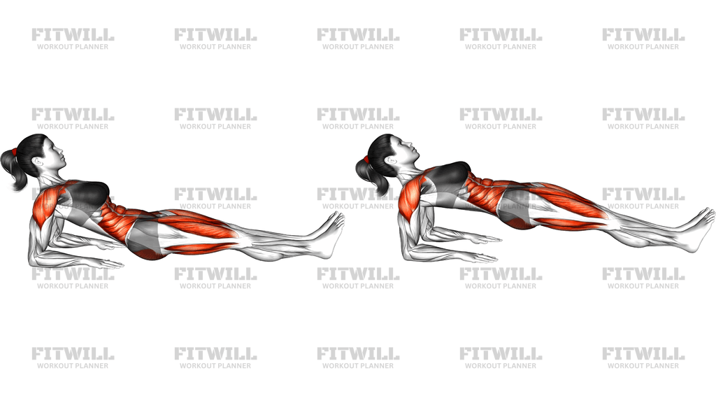 Reverse Plank On Elbows