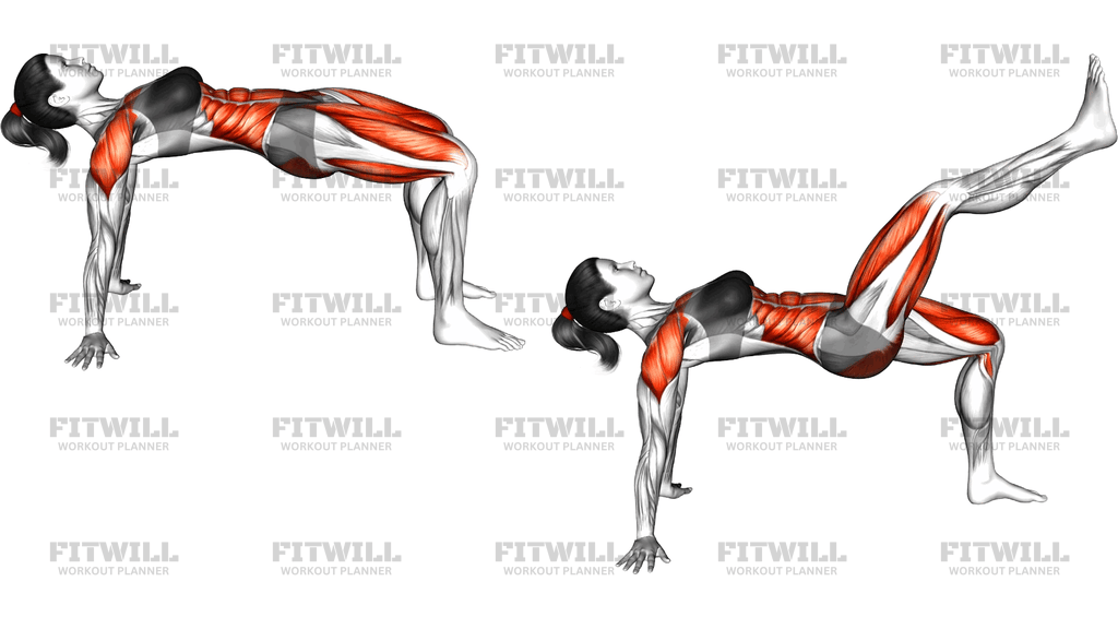 Reverse Plank With Leg Lift