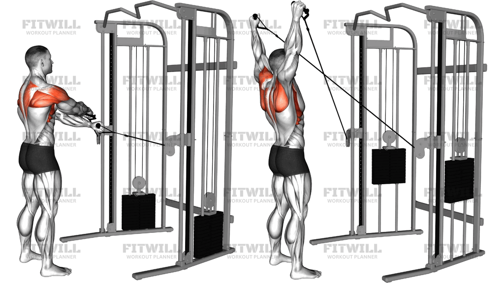 Cable Standing Y Raise (Version 2)