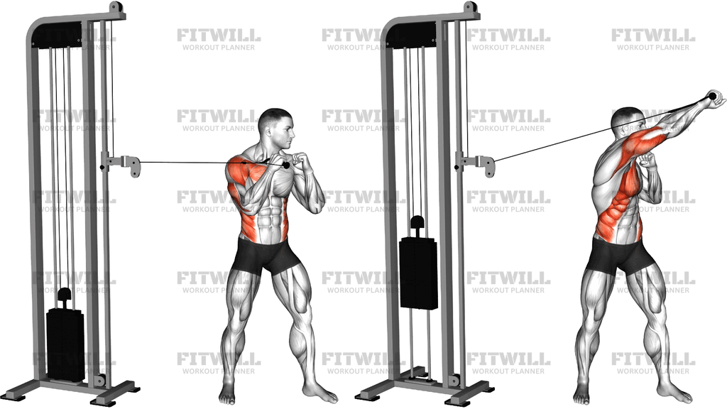 Cable Standing Jab (Version 2)