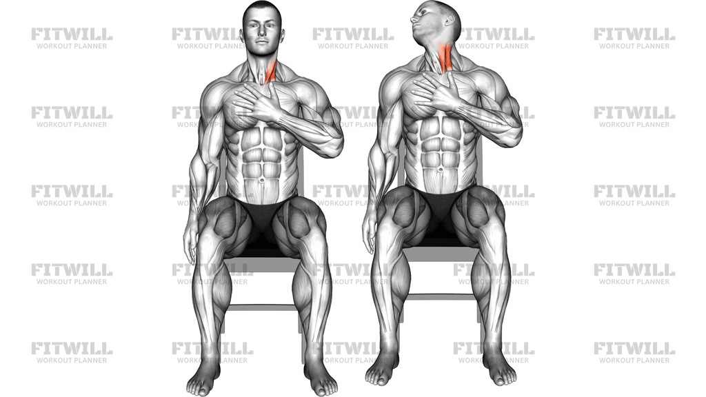 Seated Neck Backward Stretch