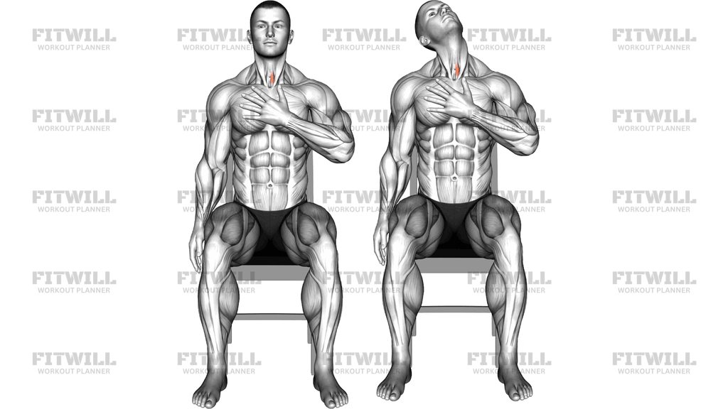 Seated Neck Side Upward Stretch
