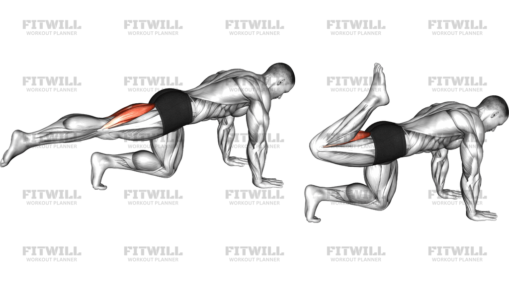Kneeling Single Hamstring Curl