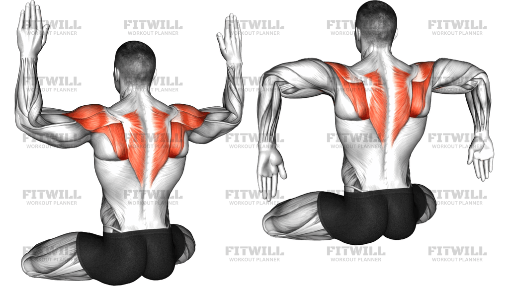 Seated Internal And External Shoulder Rotation