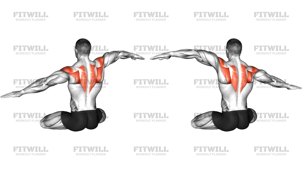 Seated Shoulder Waves