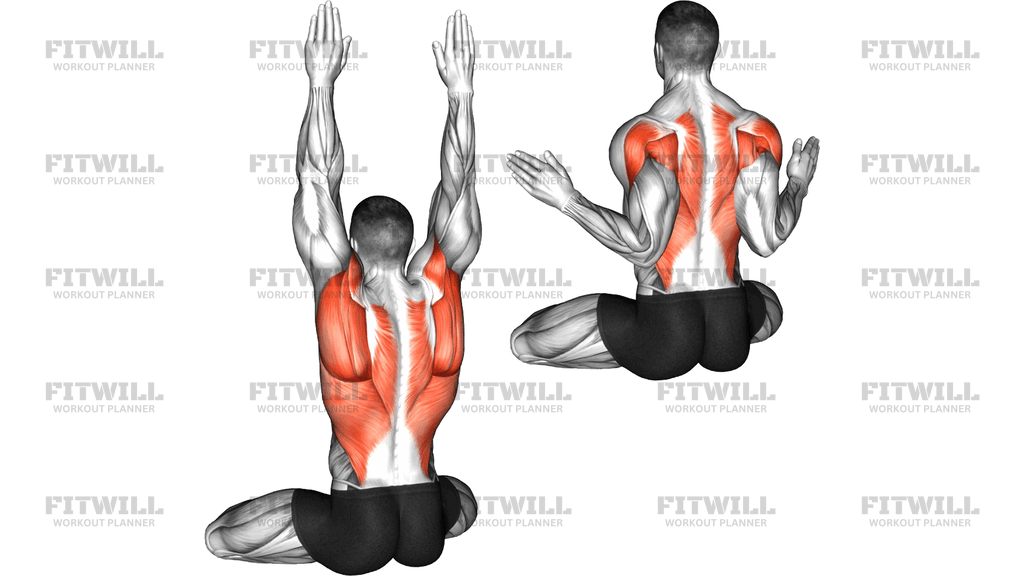 Seated Back Press