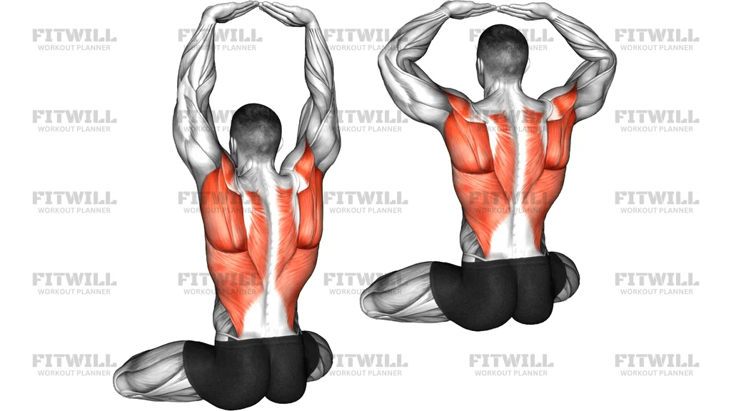 Seated Overhead Reach Press